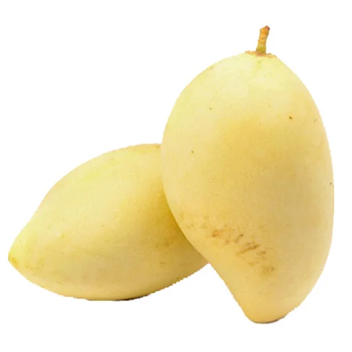 Cat Chu Mango Fresh Fruit Best Price For Export Low MOQ Top Quality Brand Manufacturer Supplier Custom Logo Package