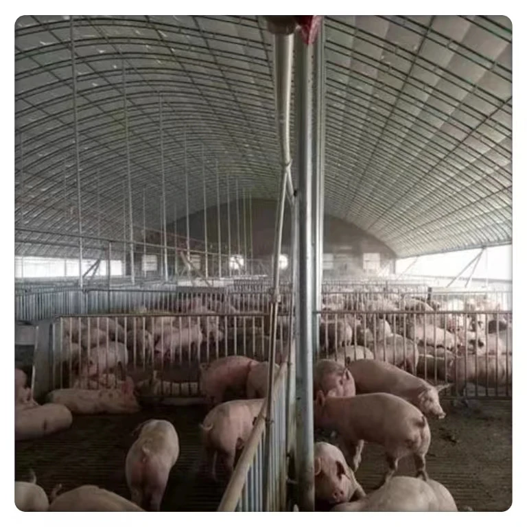 Wholesale Large Indoor Agriculture Greenhouse Square Arch Tunnel for Plant & Animal Breeding Single Layer Film & Steel Material