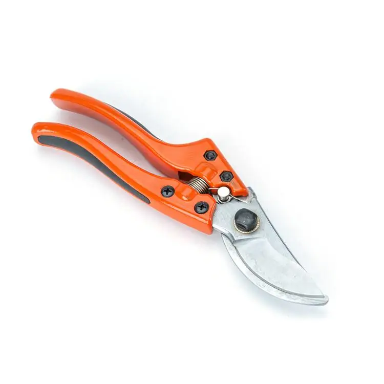 Bonsai Spring Gardening Grape Curved Tree Scissors Pruning Shears 25mm Pruner Garden Scissor Pruning Shears Flower Bonsai Tools