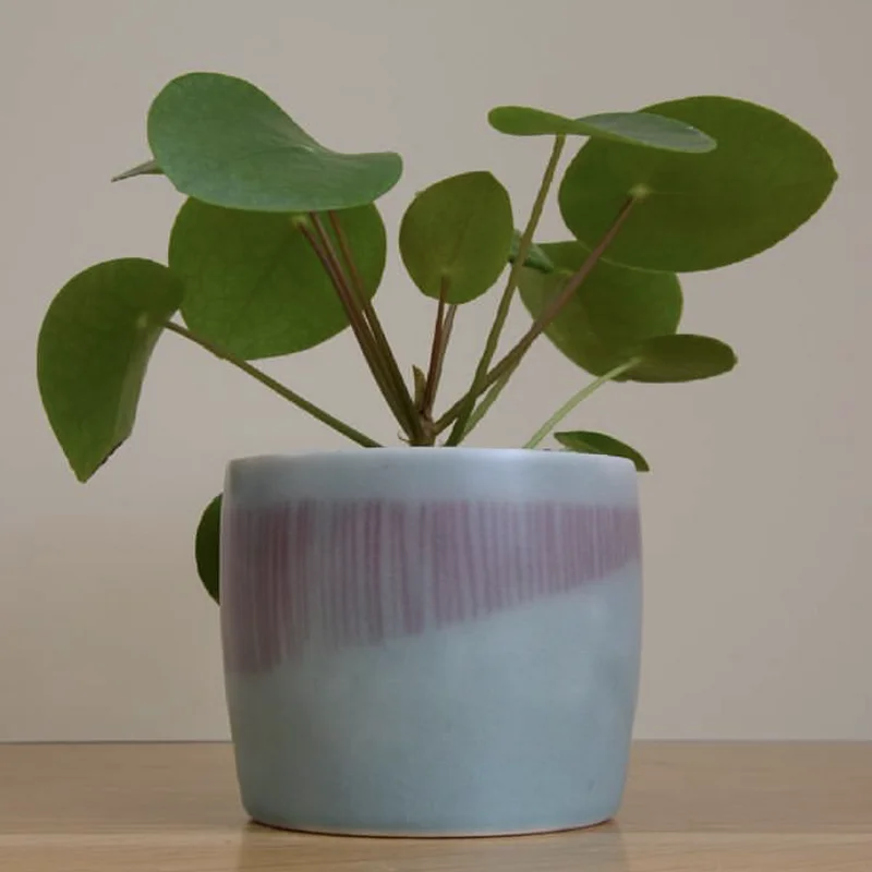 
eco-friendly color glazes cylinder indoor deaktop decoration small bonsai artificial potted plants pots for dinning room 