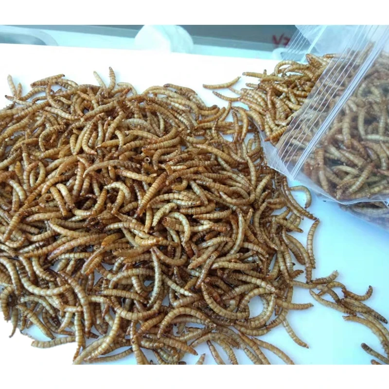 Сушеные mealworms для еды