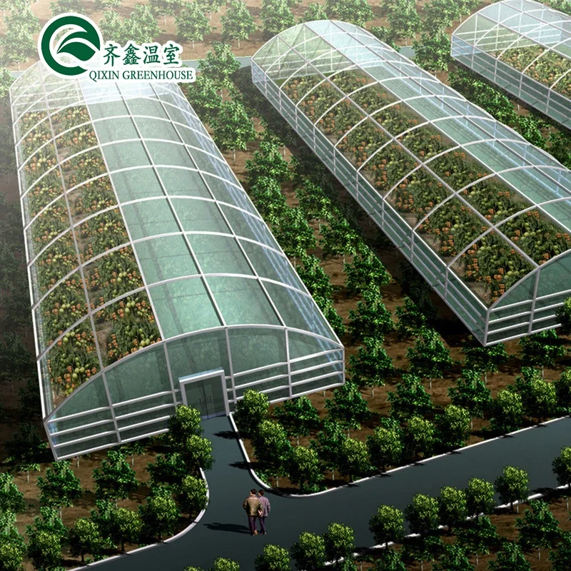 single span film greenhouse mushroom growing equipment