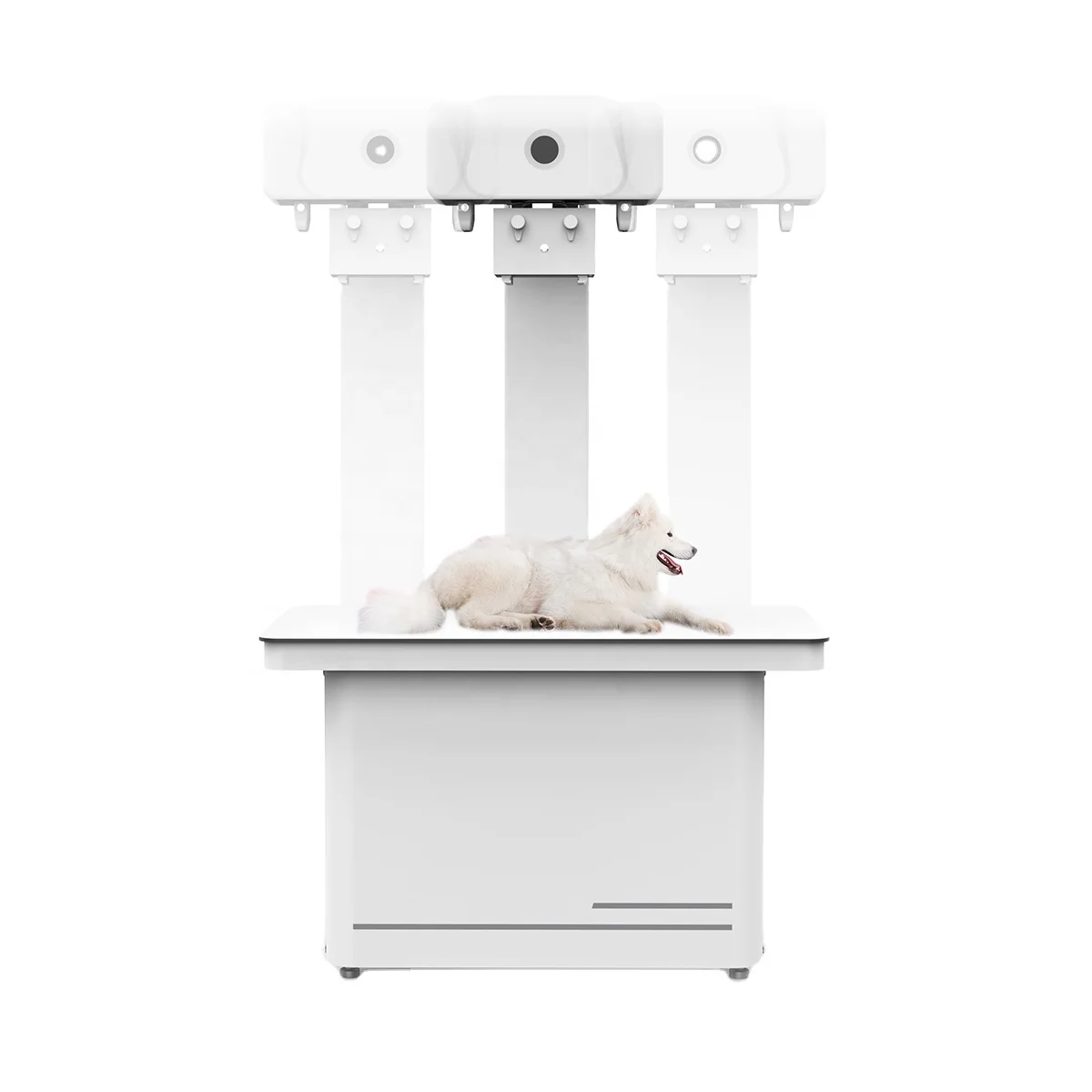 High Frequency Pet X ray Machine / Fixed Veterinary Digital Radiography System MSLVX32