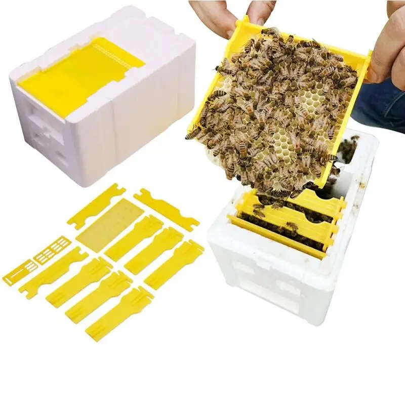 Best Quality Hony Bee Box Queen Bee Terrarium Bee Box Honey for Beekeeping Equipment