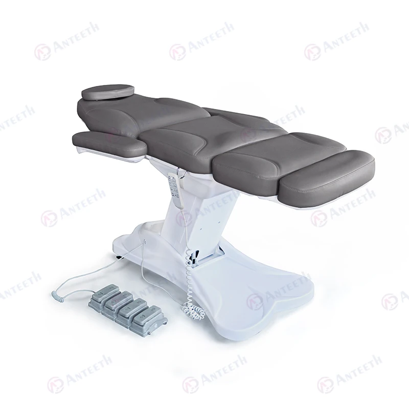 Anteeth Economy Model Electric Spa Aesthetic Treatment Facial Electric Beauty Chair Bed