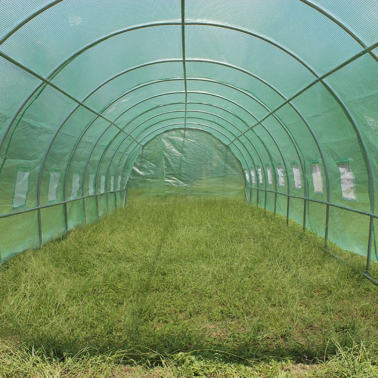 TLSP113 home type high tunnel agriculture plant shelves for polytunnel greenhouse-36m2 UV protected