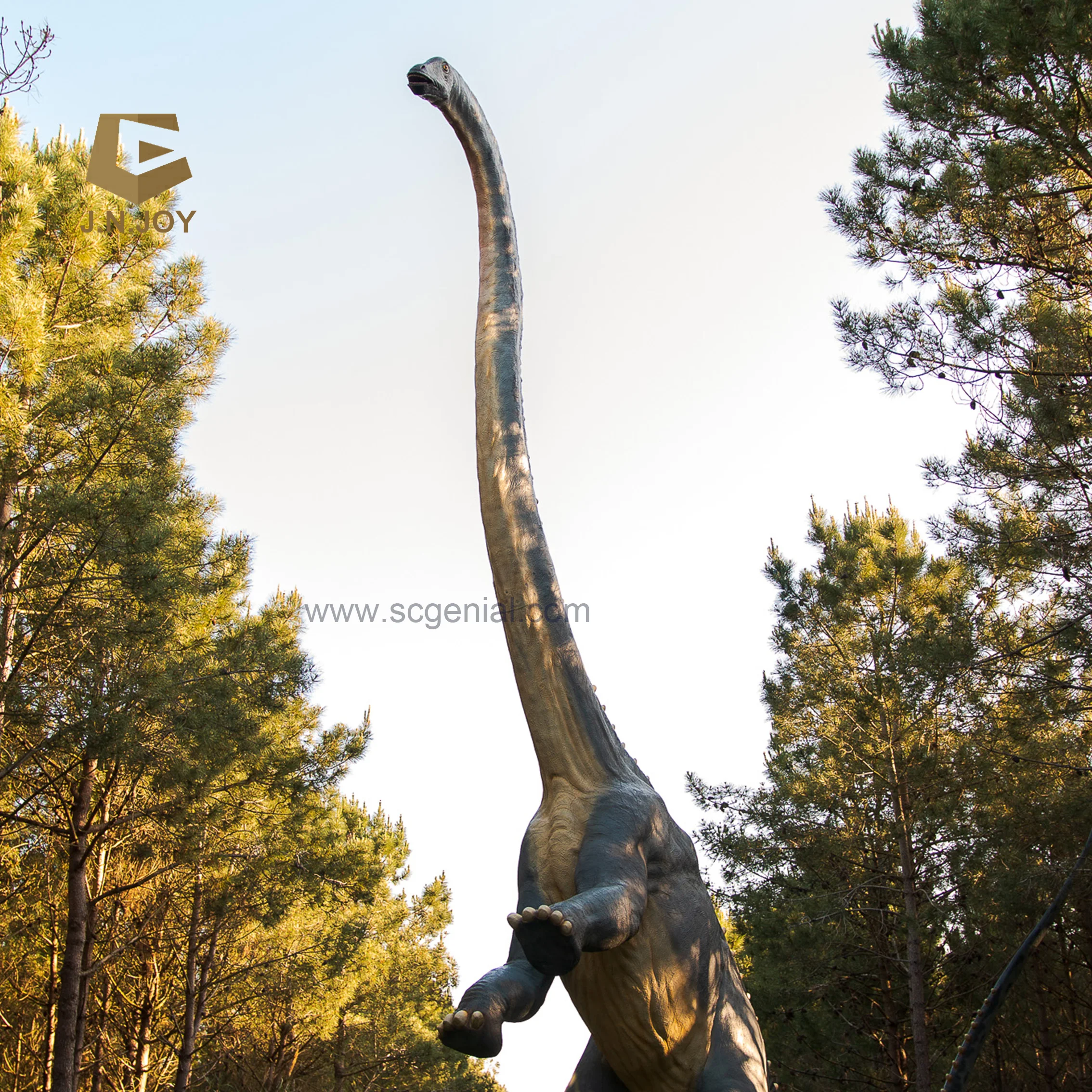JNZM24  Professional Dinosaur Factory Made High Quality Simulated Tapejara Pterodactyl Dinosaur Animatronic Model
