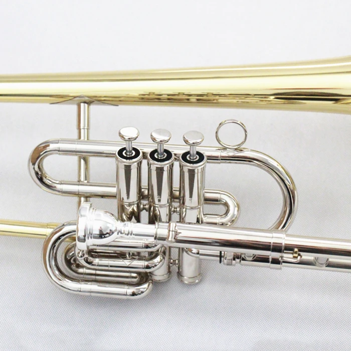 Professional Dual Usage Bb/F Tone Piston Valves Trombone Brass Instrument