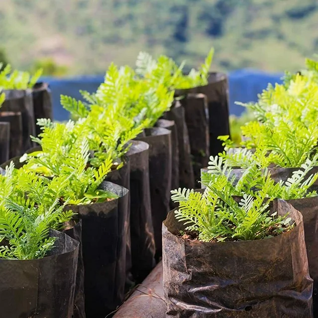 Plastic nursery bags plant seedling bag PE sapling grow bag for fruit trees