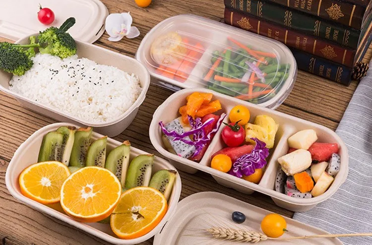 BIodegradable take away food paper pulp container box