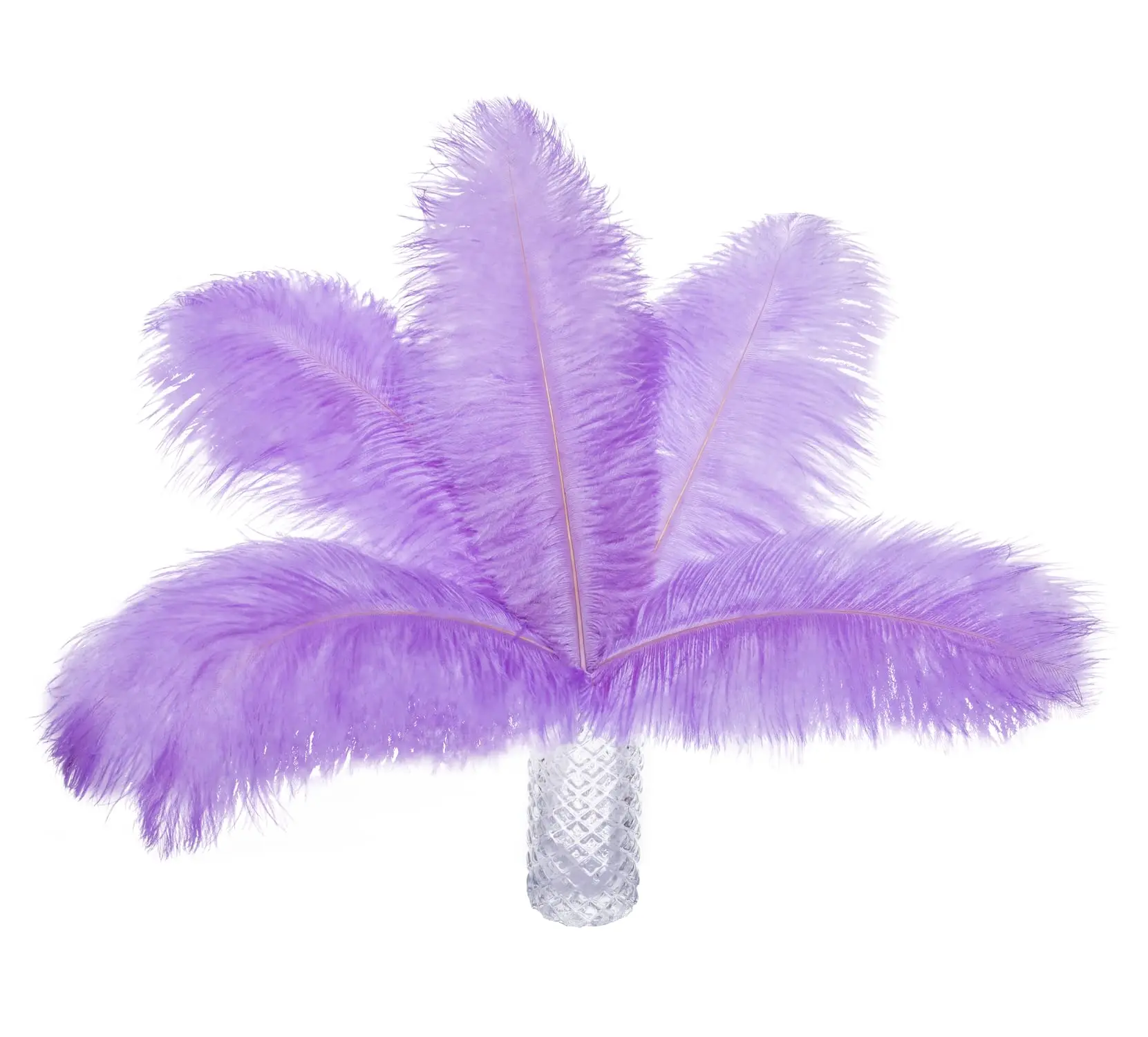 5 pcs Ostrich Feathers Plumes 14-16 inch(35-40 cm) Bulk for DIY Halloween Decorations Wedding Party Centerpieces