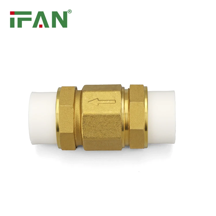 IFAN Free Sample Spring Check Valve 1/2 Inch Check Valve Vertical Non Return Check Valve