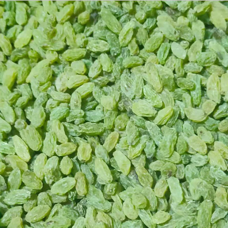 Top quality Sweet Green Raisin Price Per Kilo