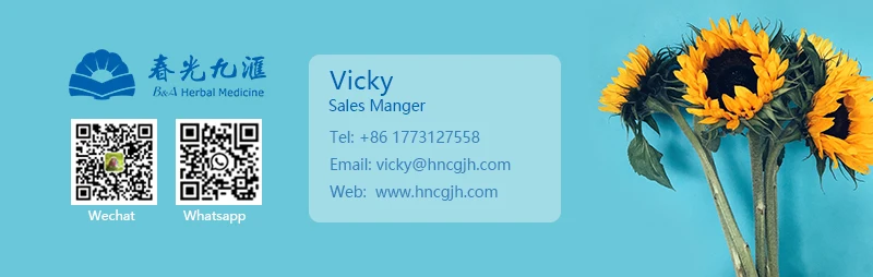 Vicky info.jpg