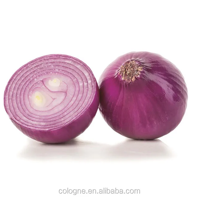 Top quality Natural Reliable Price Red Onion For Sale