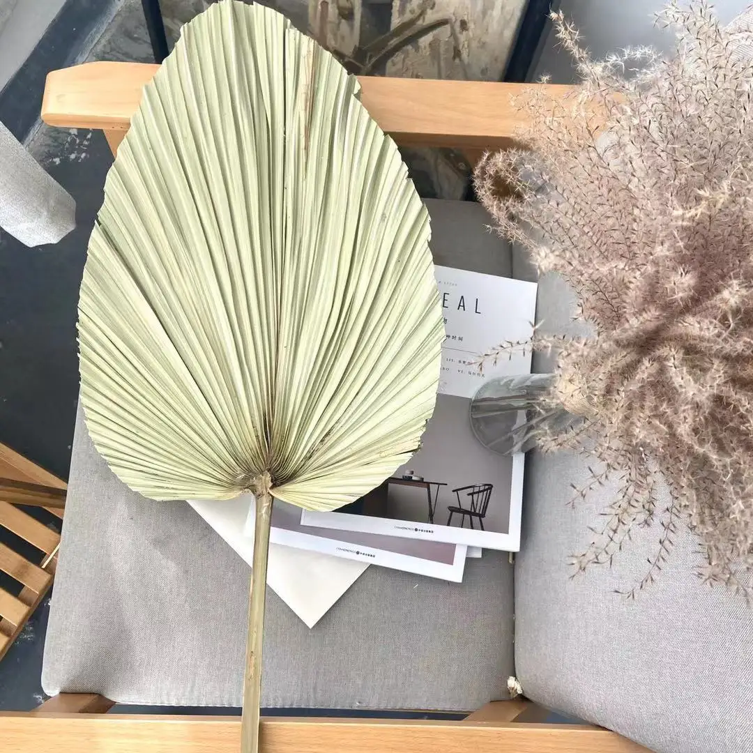 Palm Leaf Decorative Flowers  Natural Dried Palm Leaves for Wedding Home Decor
