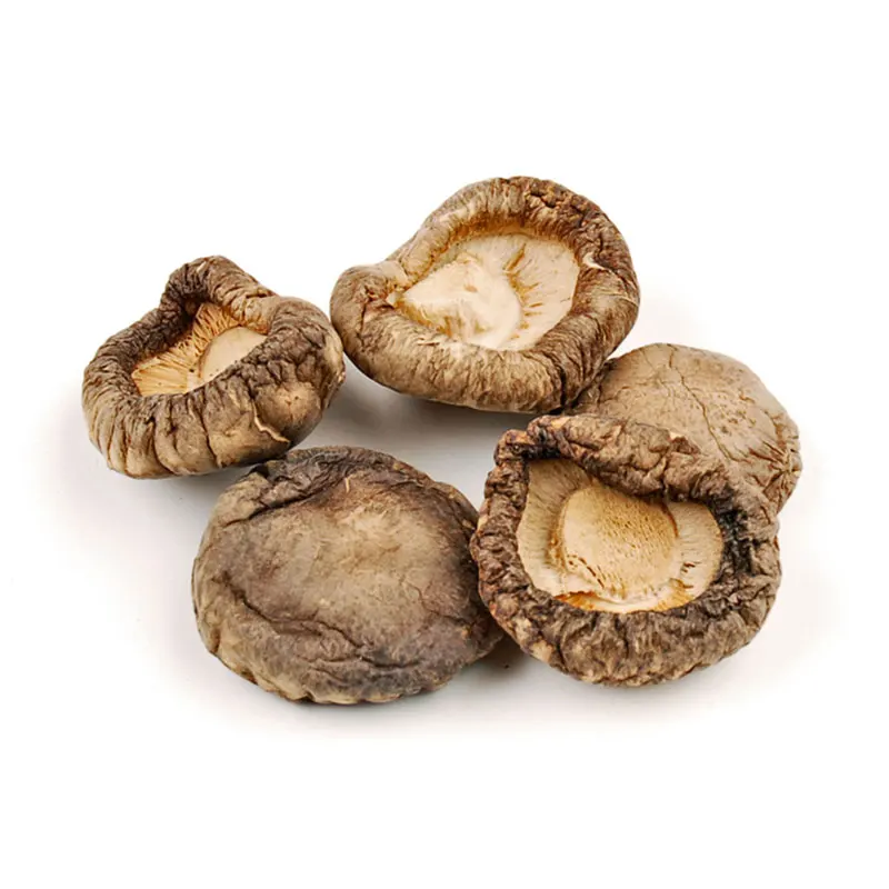 Wholesale pure natural dried shiitake mushroom high quality dried mushroom
