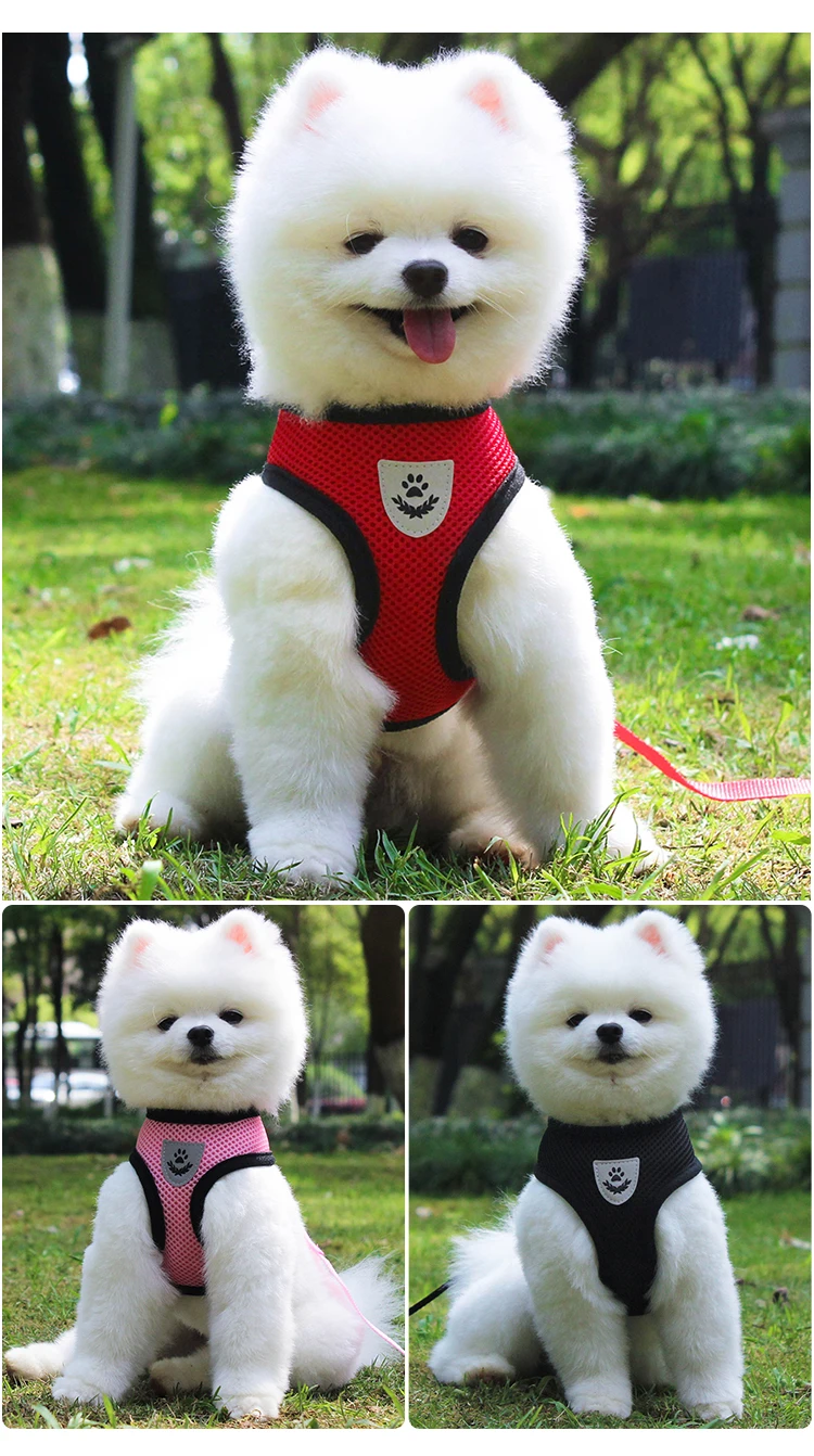 Высокое качество, воздухопроницаемая сублимационная нагрудная шлейка для собак, небольшая сетчатая нагрудная шлейка для собак, жилет