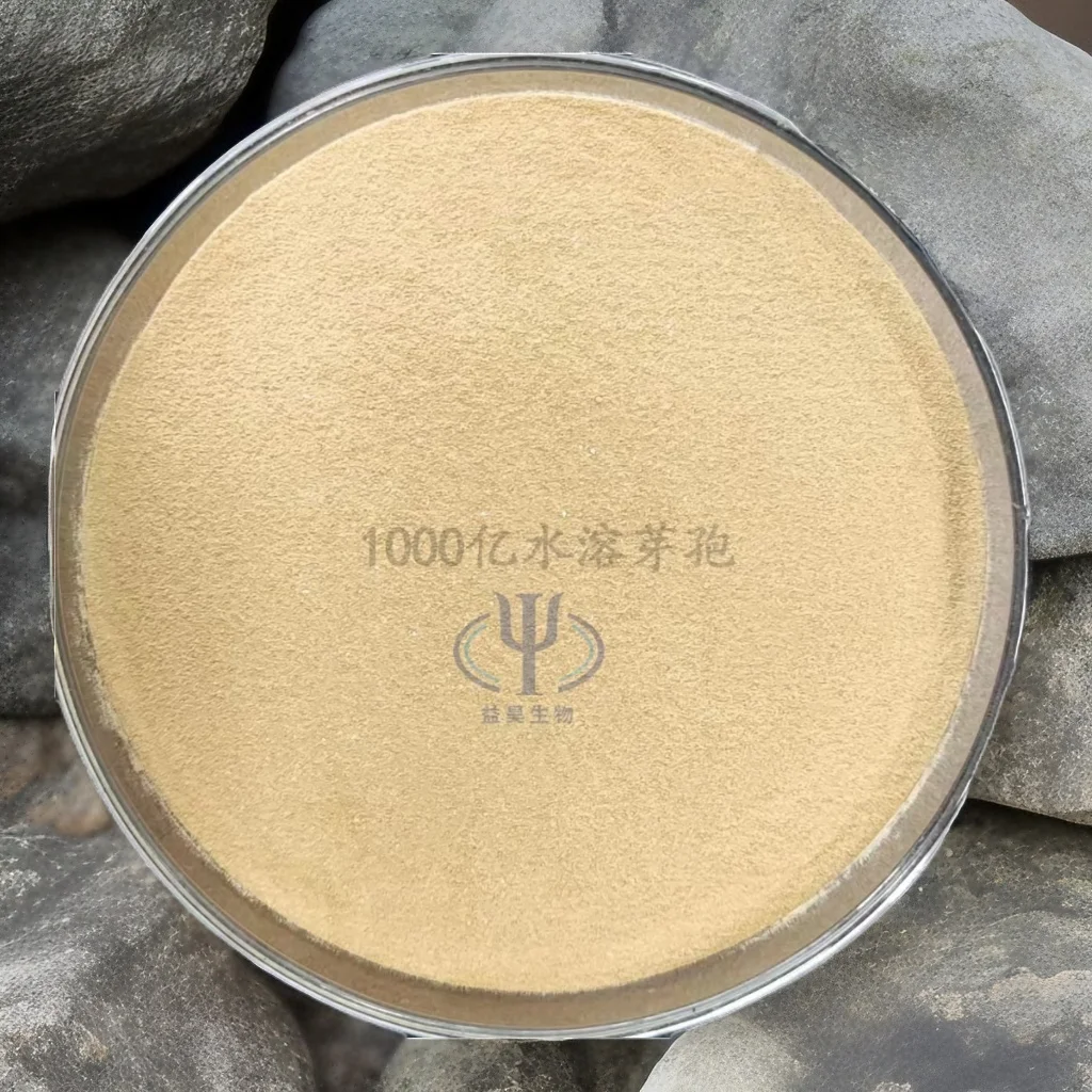 Wholesale 100 Billion Bacillus Subtilis Probiotics for Fish Aquaculture Effective Intestinal Regulator