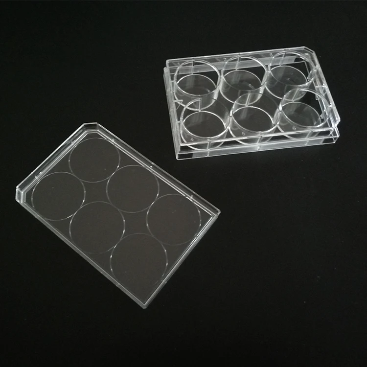 Disposable Lab Product  6 wells Cell Culture Plate