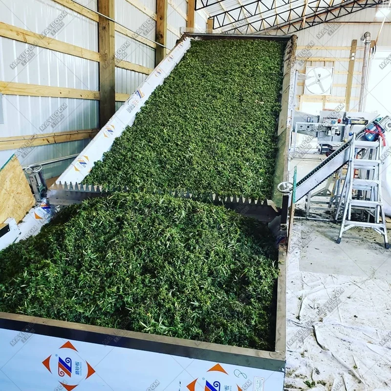 New design 30% energy saving  conveyor herb mesh belt dryer