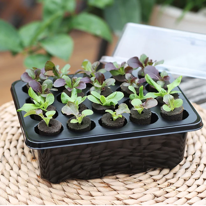 Wholesale Seed Starter Planting Pods With Grow Sponges For Soil Hydroponics Garden Farm Cabinet Container Bertical System