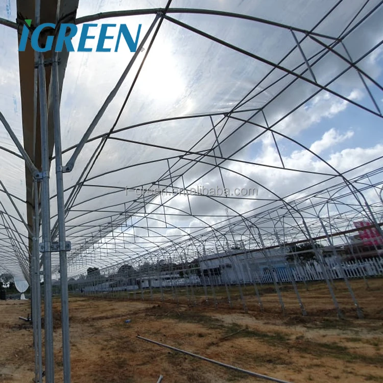 Agricultural vegetable multi-span greenhouses from China