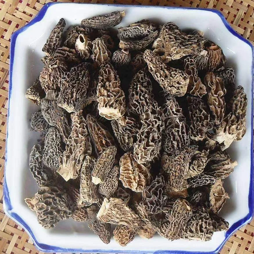 Factory Hot Sale Delicious Organic The Fungus Mushroom Frozen Morels morille mushrooms organic dried morels mushroom