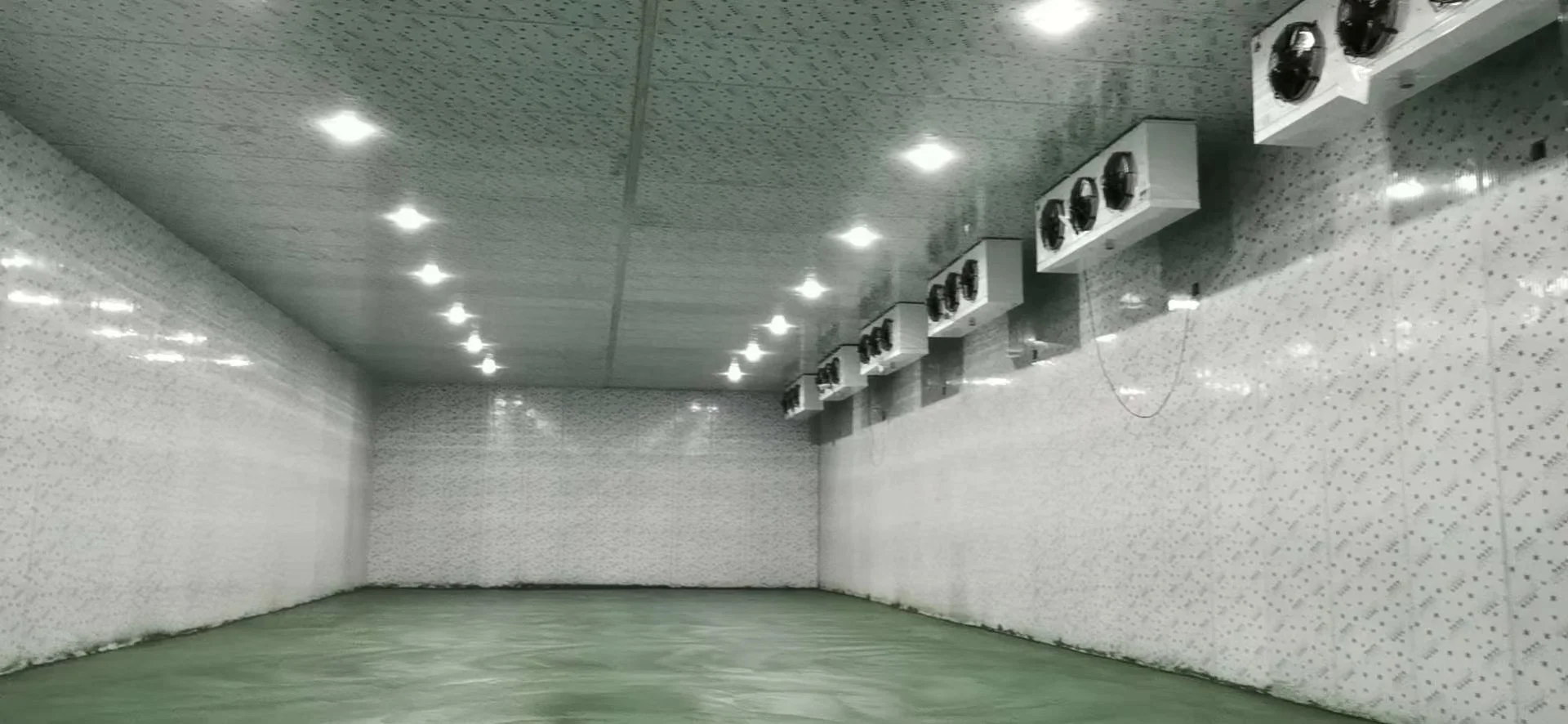 cold room hinged door PU sandwich panel  plate 10/12/15cm for Bescool freezer  storage bin container Cooling stainless  steel