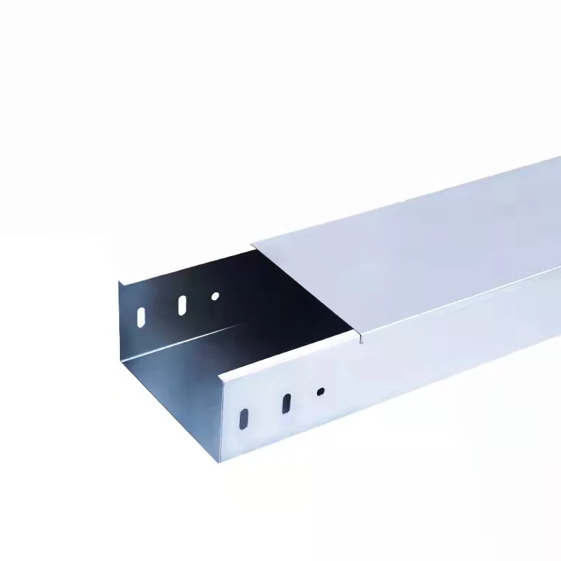 OEM or ODM Customized Waterproof Powder Coated Cable Trunking Tray