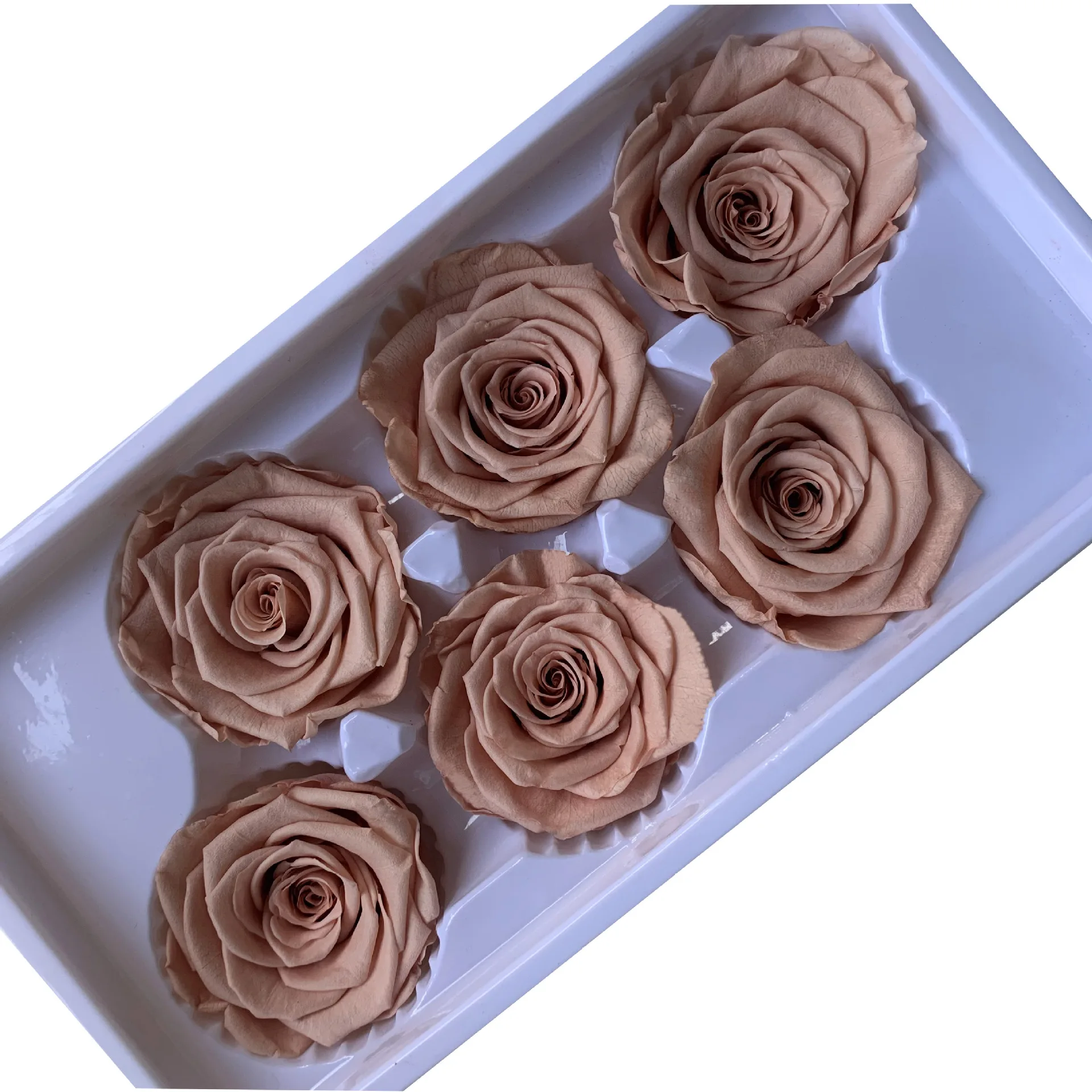 Sale Eternal Roses Bud Flower with 5-6cm Everlasting Preserved Dried Rose Buds for Gifts
