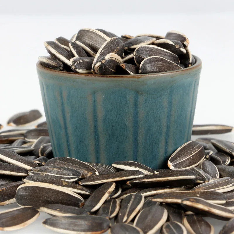 purple sunflower seeds pictures