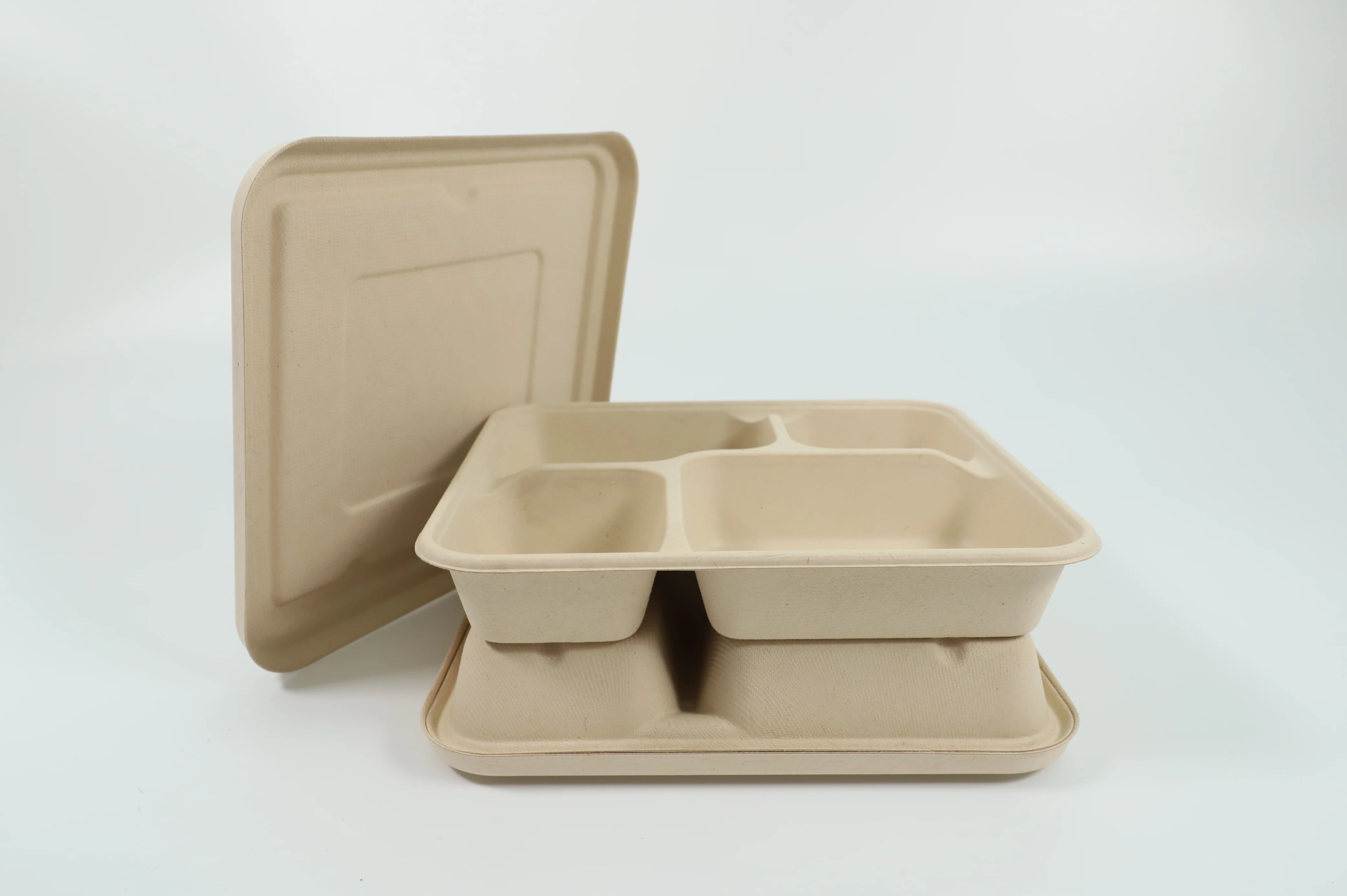 3 compartments  biodegradable  tray