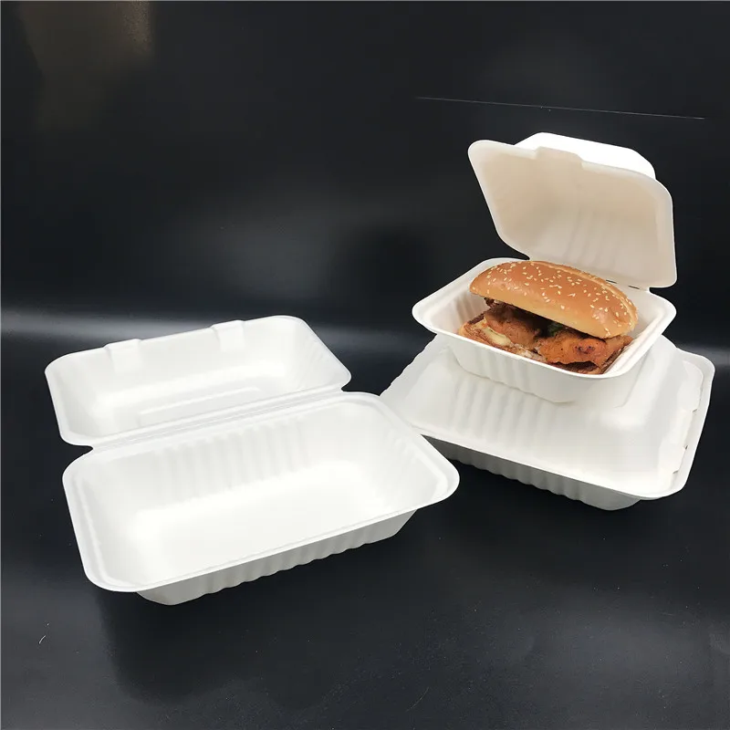 New trending 8 inch biodegradable disposable clamshell take away food container sugarcane bagasse to go lunch box for BBQ