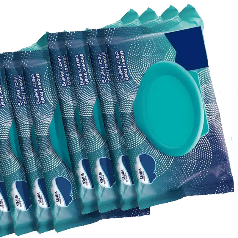 Wholesale New Daily Disposable Cleaning Flip Cover Wipes Clean Room Wipes With Logo