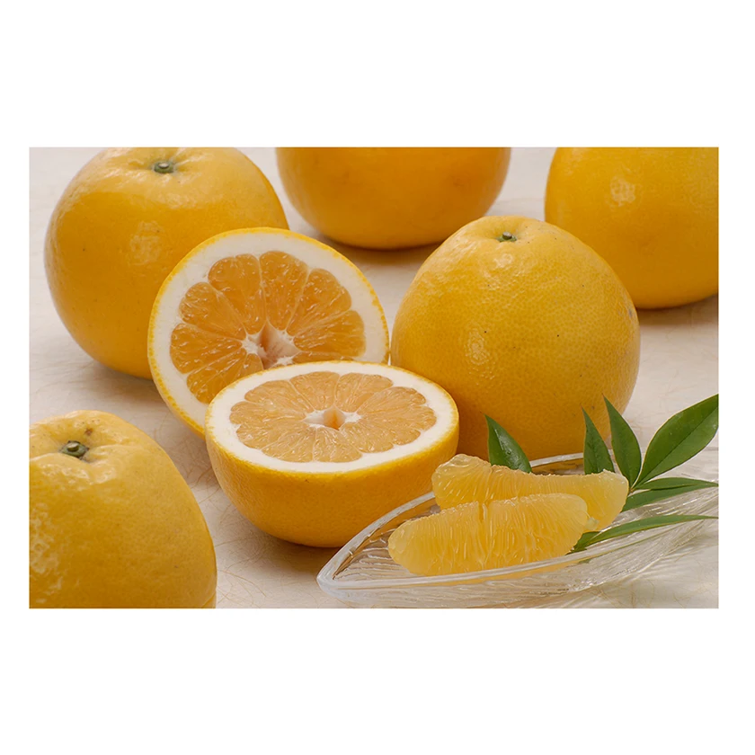 Japanese wholesale mandarin peeler blox fruit with good quality