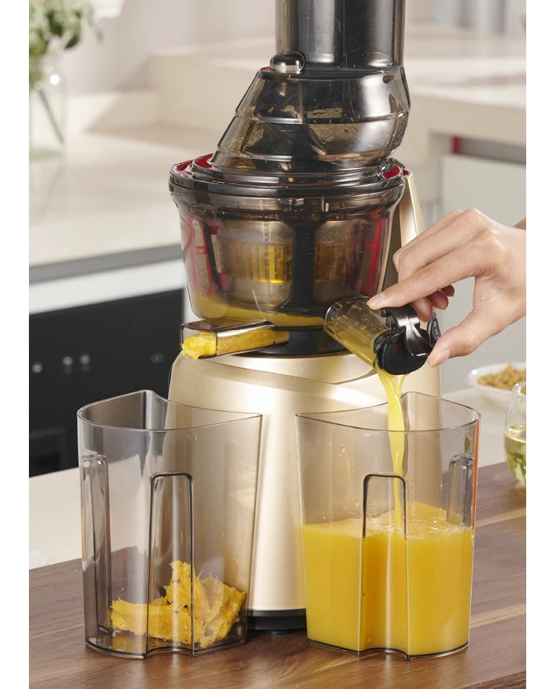 Home Appliances Fresh Fruit Electric Juicer Extractor machine Portable Slow Juicers