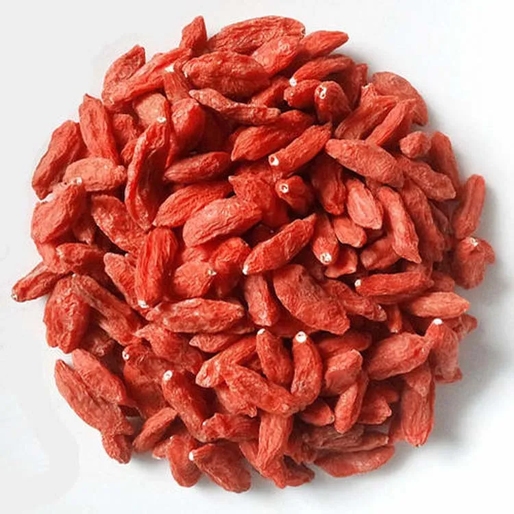Limited Time Special Offer For New Product Launch Goji Berry Natural Ningxia Goji Berry Seeds
