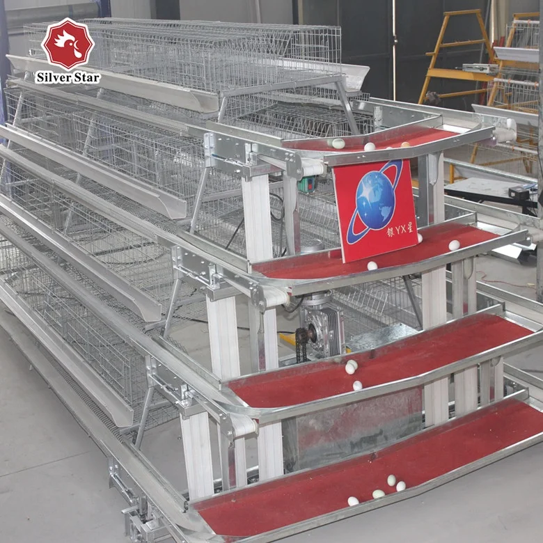 Indonesia automatic farm equipment 4 tiers layer chicken cage.jpg