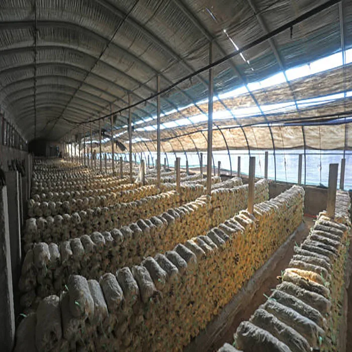 Good Thermal Insulation Steel Frame Building Customized Design Prefab Agricultural Cow House Goat Shed