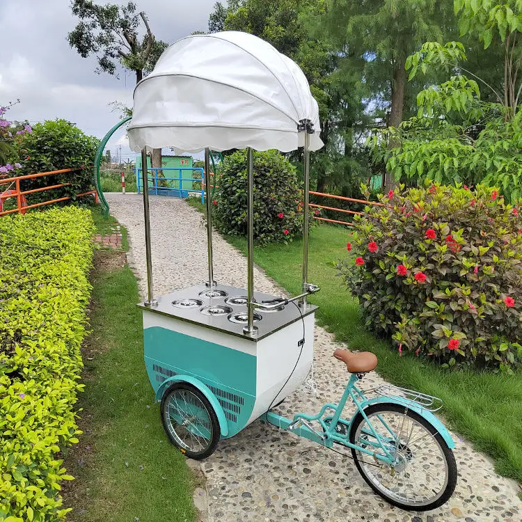Small Mobile Ice Cream Cart Cold Food Gelato Cart Food Vendor Stand Ice Cream Bicycle