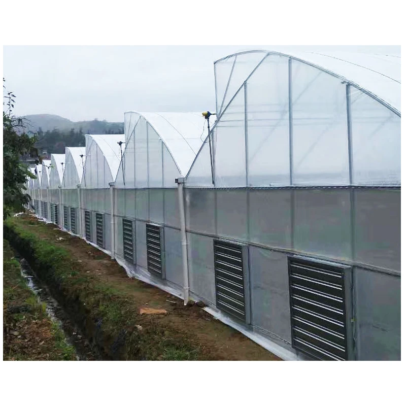greenhouse suppliers in uae and price