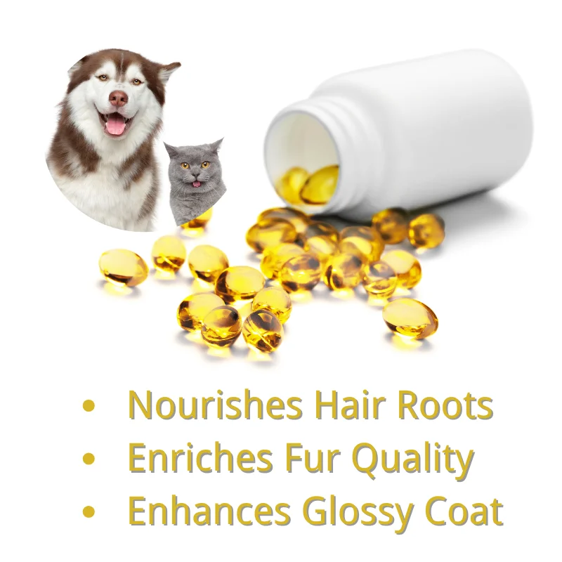 Pet Health Care Supplement Fish Oil Boost Immune System Promotes Healthy Skin And Coat Epa Dha Fish Oil Capsule For Dog Cats