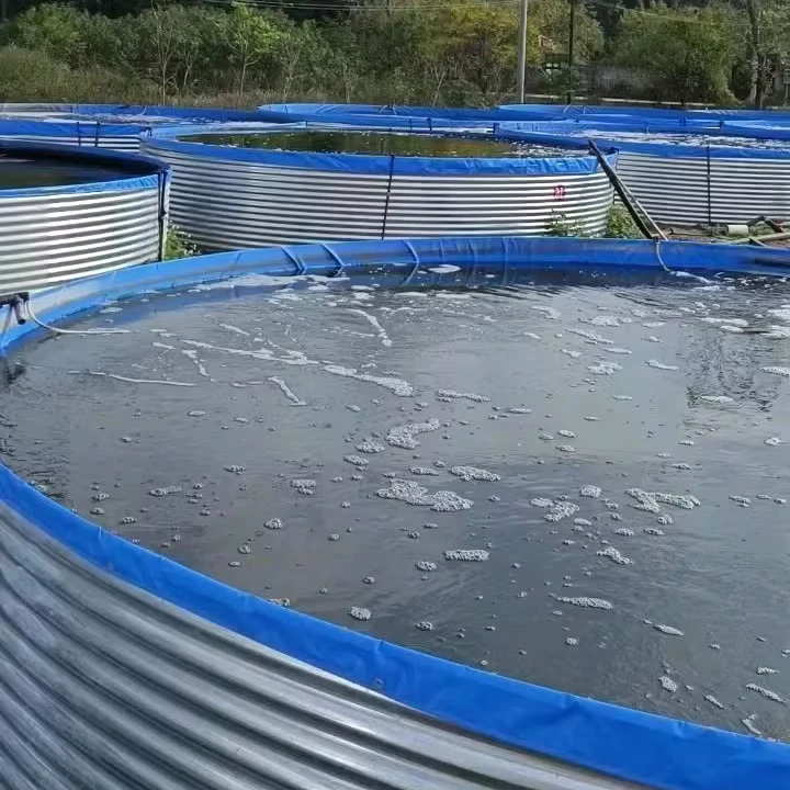 2024 hot sale  High Quality  Aquaculture Tilapia & Shrimp Ras System  fish farming tank