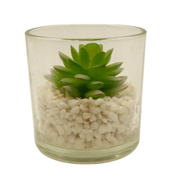 Hot Selling Faux Artificial Plastic Artificial Flowers Decorative Succulent Plants