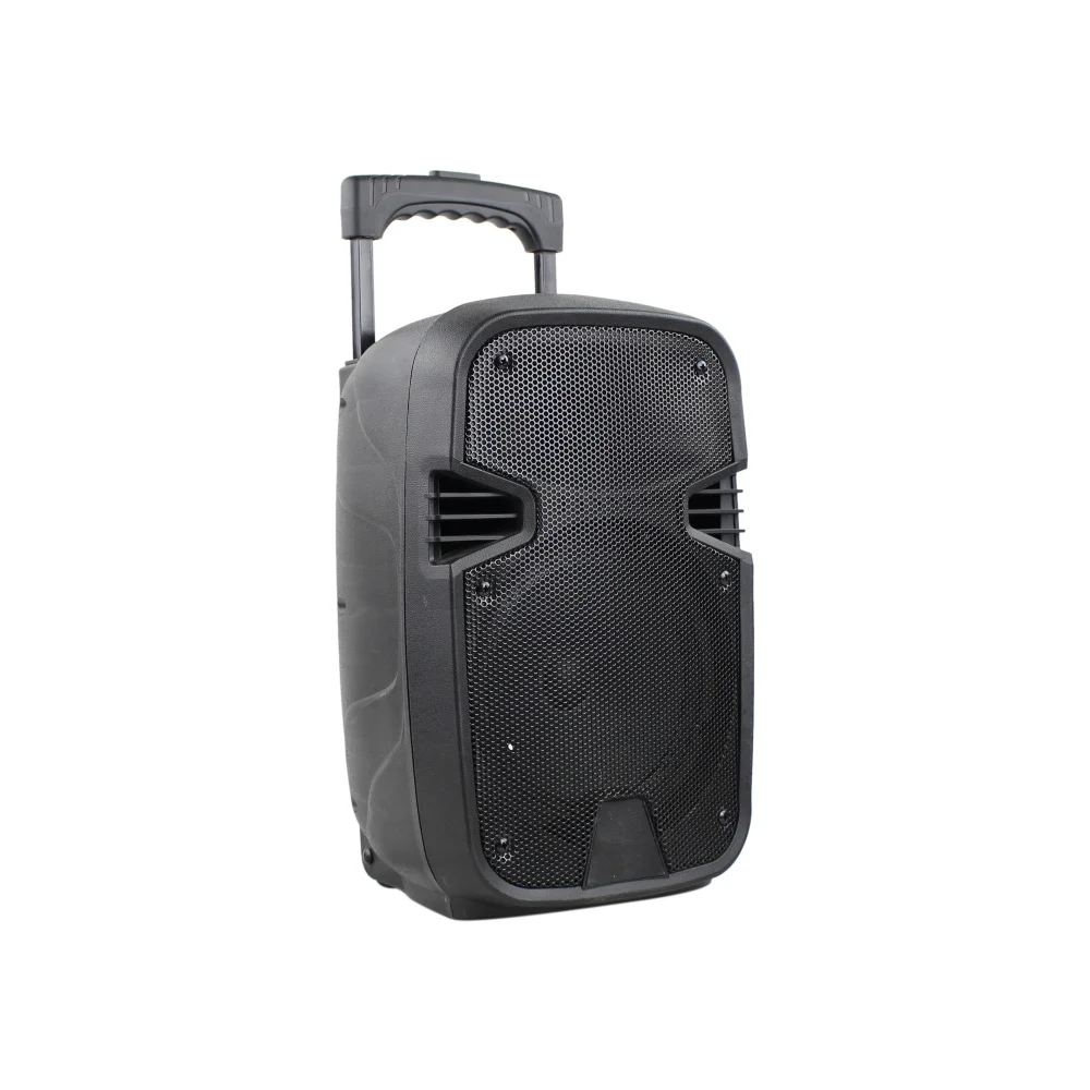 Temeisheng A8-8 100V to 240V 6 buttons LCD display karaoke 90W peak output power oem portable trolley outside speaker