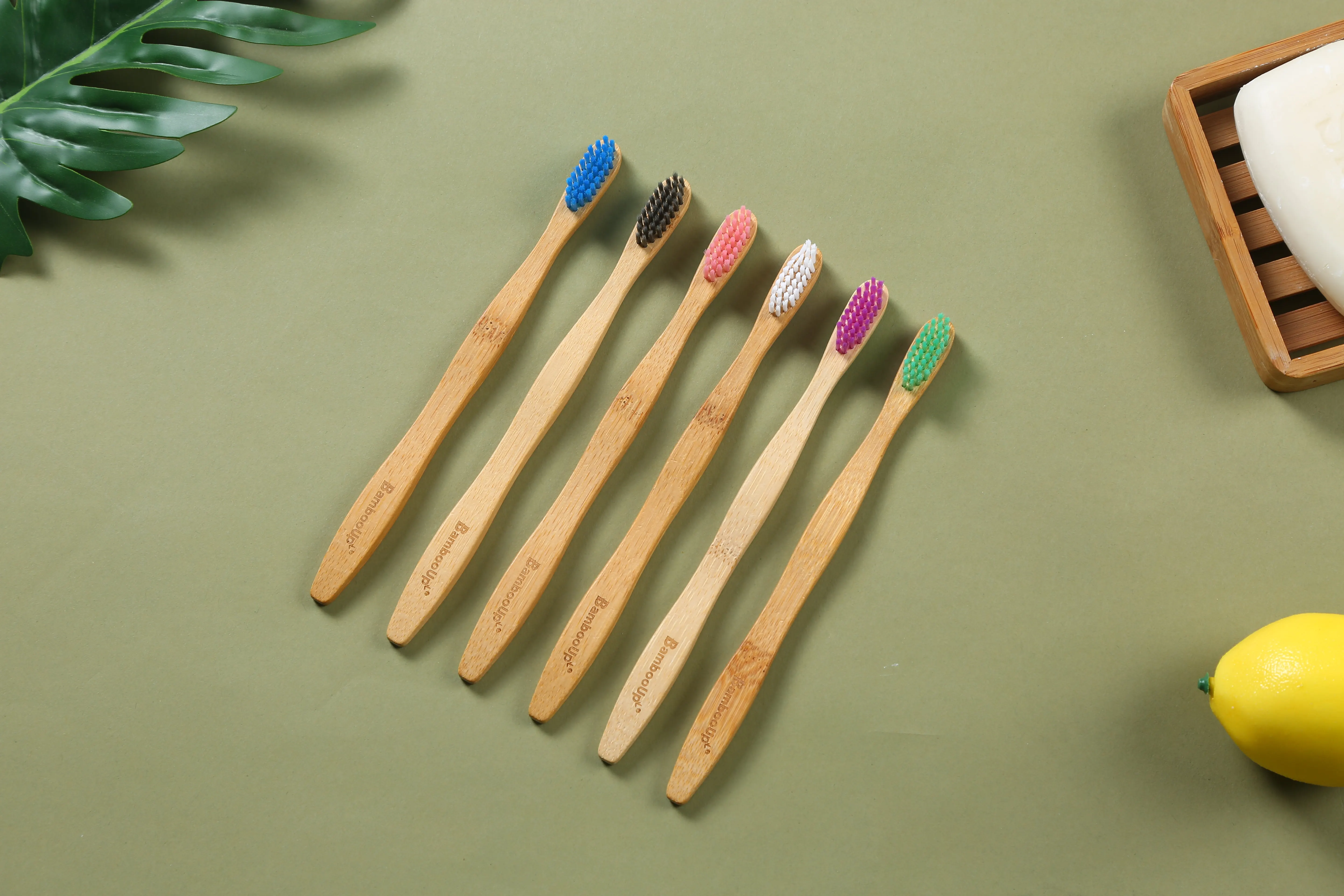 Wholesale BPA free  eco friendly organic toothbrush with fsc certificate