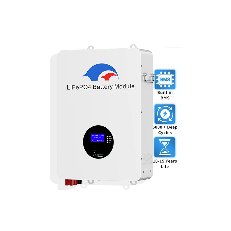 5KW 10KW Solar Lithium Batteries 6000  Cycles RS485 CAN BUS 48V 100AH 200AH LiFePO4 Battery PC Monitor For Off/On Grid Inverter