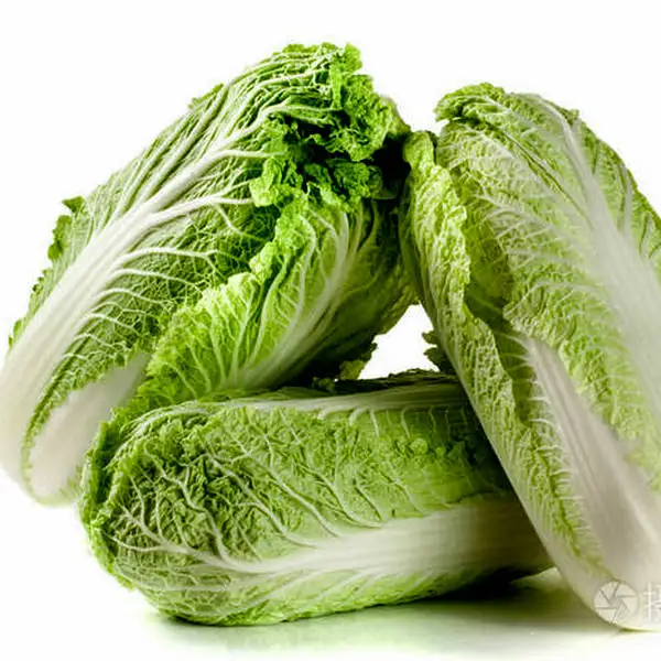 2023  Fresh Long Cabbage   High Quality Competitive Prices