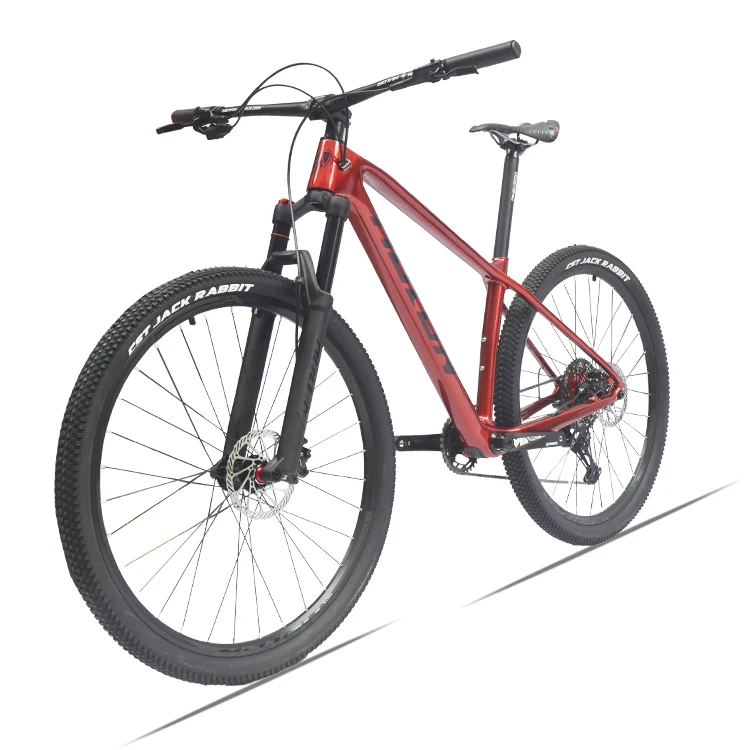 HULDA 29 Inch Full Carbon Mountain Bike Carbon Fiber Frame Contest Customizable High Quality 11speed OFF-road MTB bike